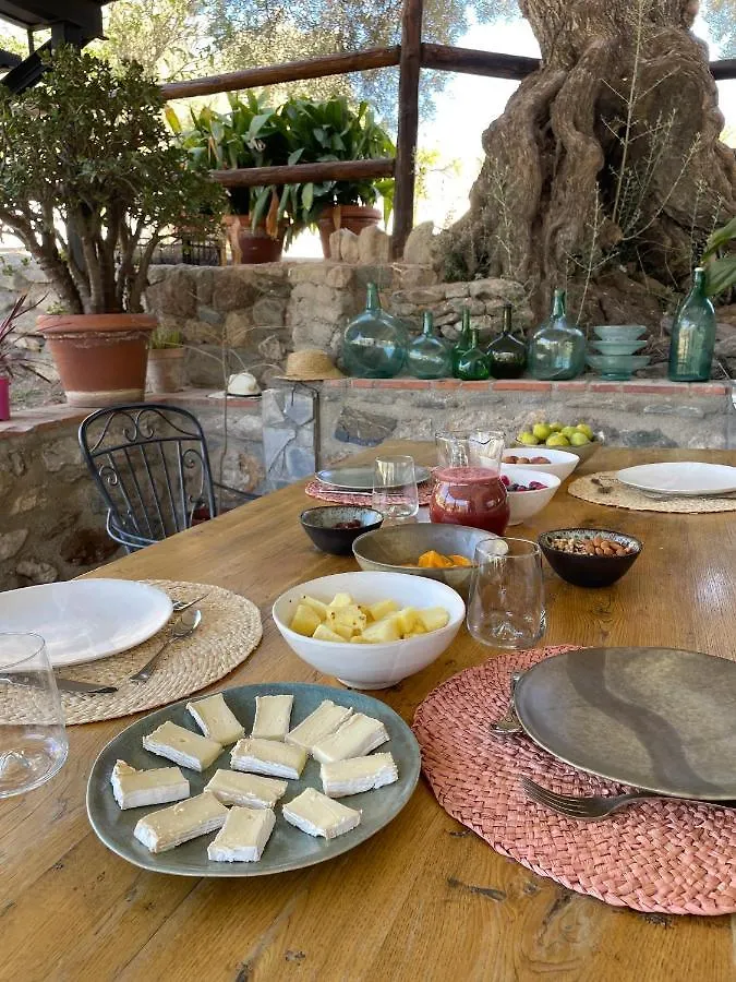 Cortijo Tayula-Centro De Recuperacion Y Descanso Orgiva
